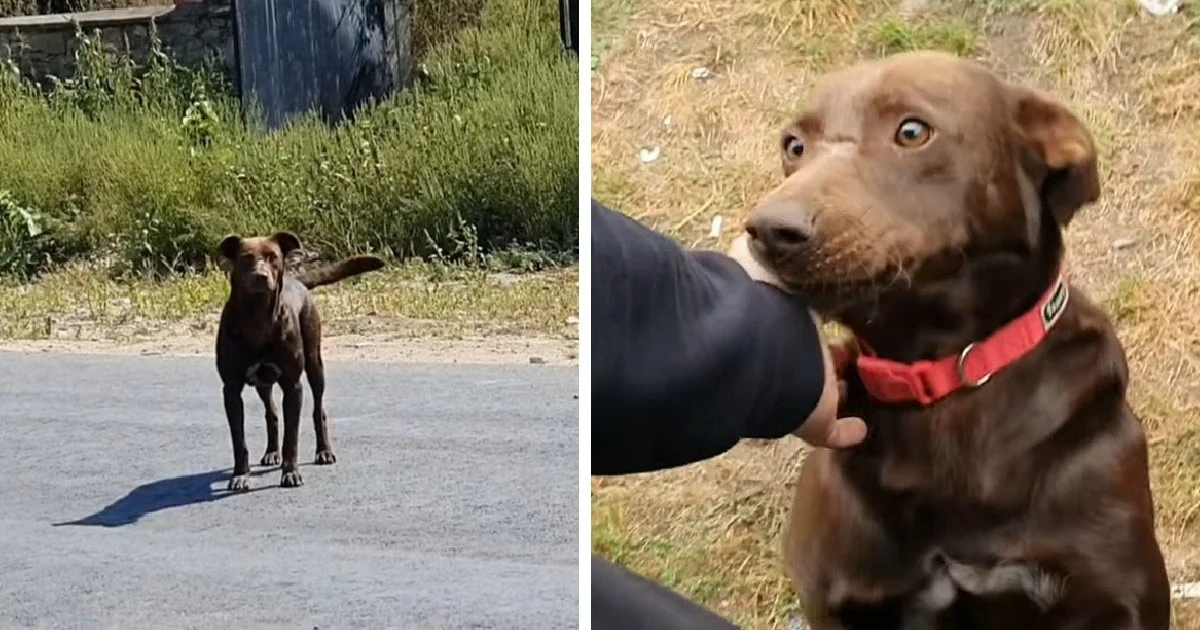 He was spotted by the rescuers when they...