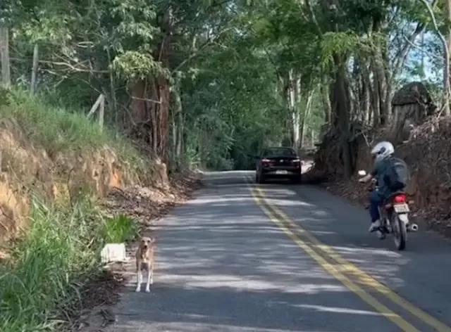 The rescuer needed to quickly gain the m...