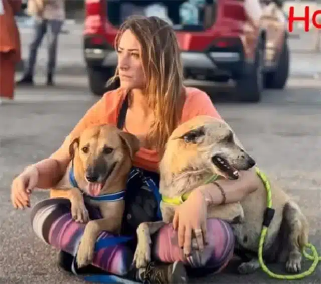 Extra image from article