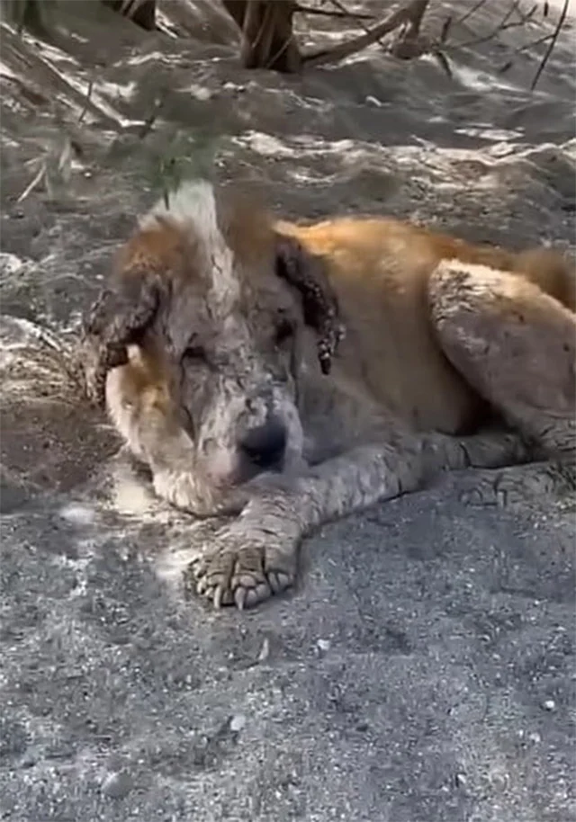 She was lying on the sand, feeling desрe...