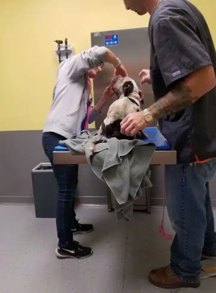 One of the Good Samaritans who found Cha...