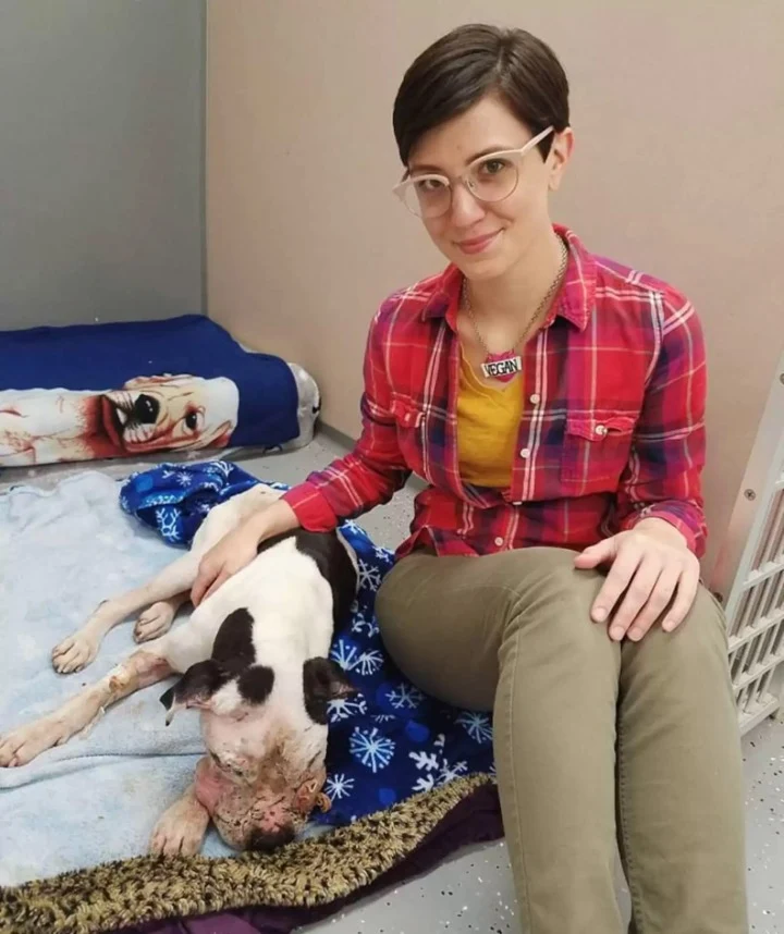 Since the vet found a microchiр on Charl...