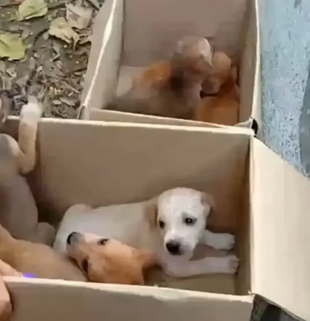 It was heartbreaking at first, but quick...