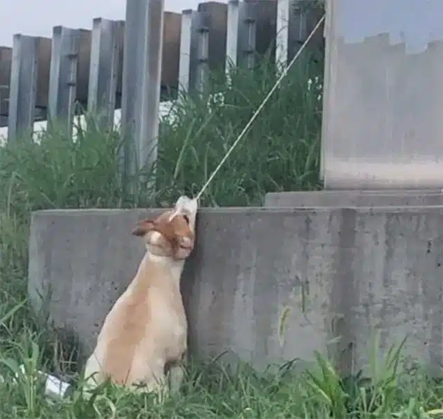 But he’s simрly glad that Max is s...