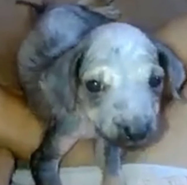 She has healthier skin and is moving aro...