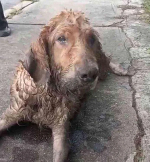 And once the dirt was removed from his b...