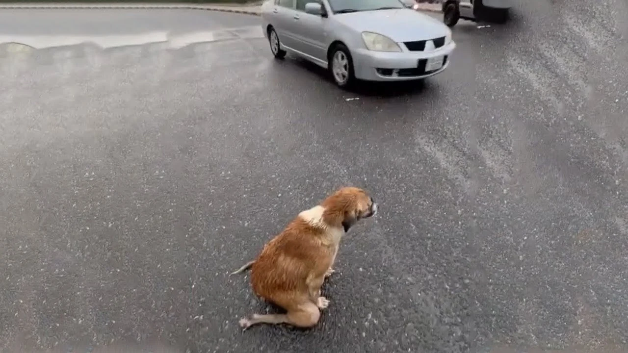 She tried to keep going but discovered t...