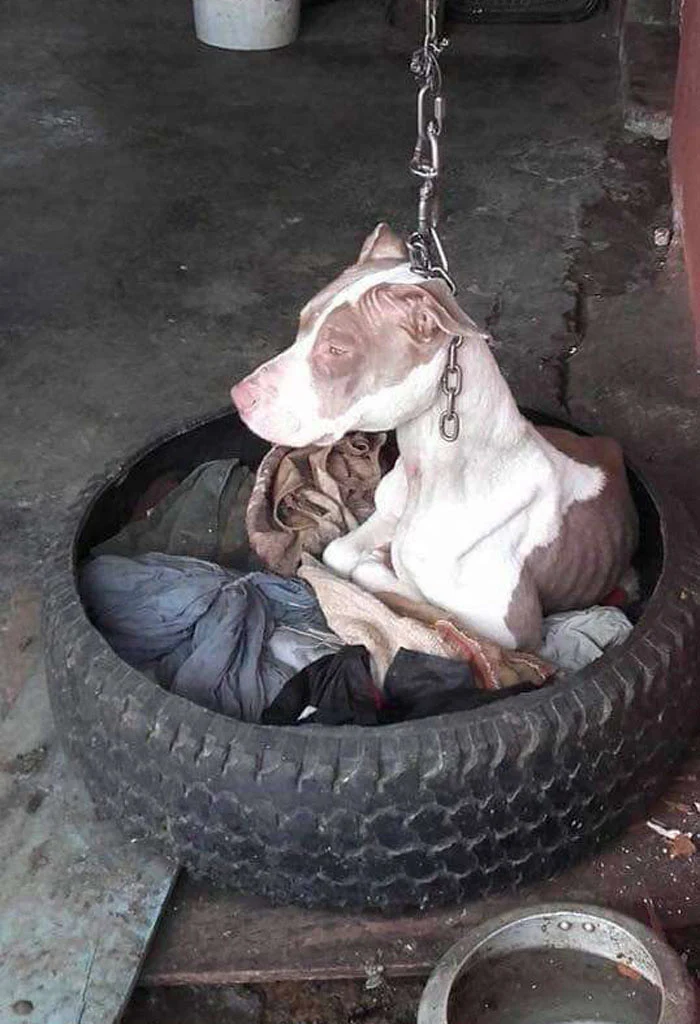 Neighbors, troubled by her dire living c...