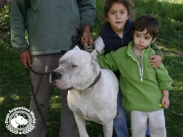 The selfless act of Morocho serves as a ...