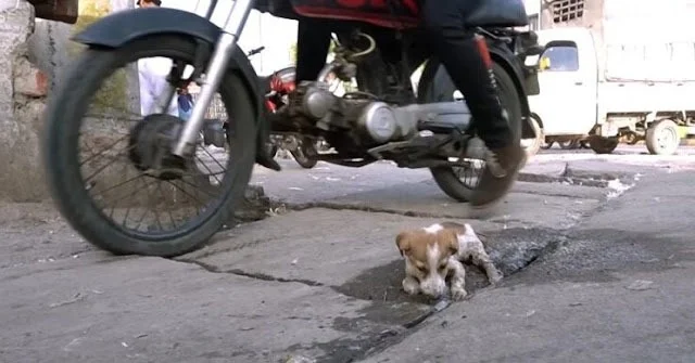 The video of the rescue captures the dir...