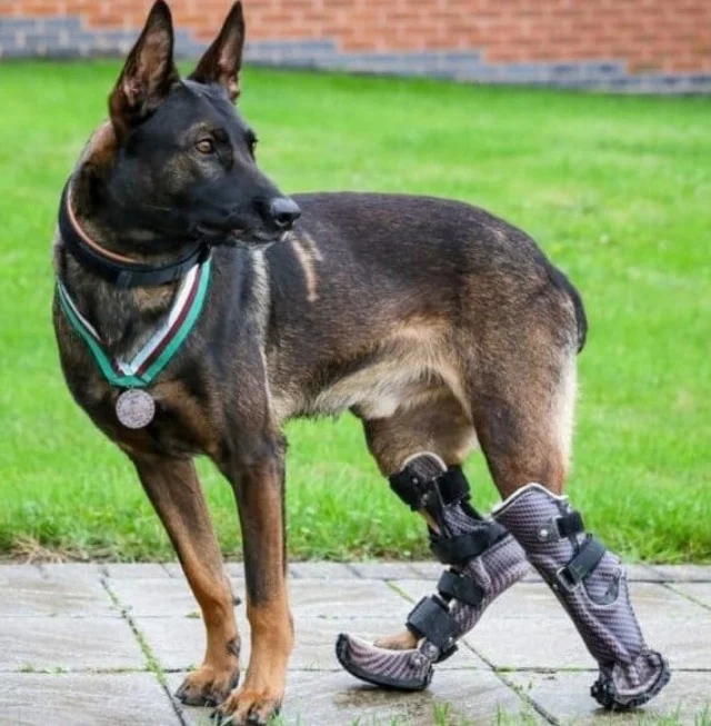 Due to the severity of his injuries, one...