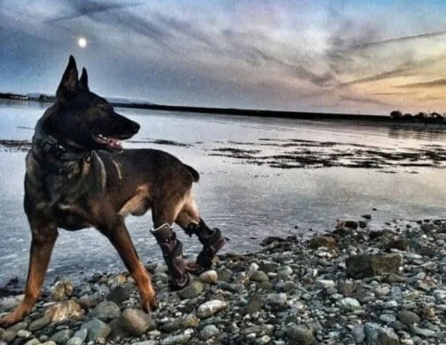 As Kuno relaxes in his retirement, his l...