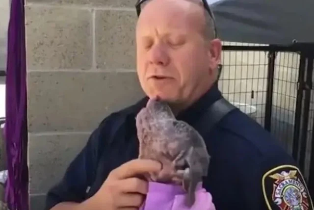 The heartwarming moment of Mike's first ...