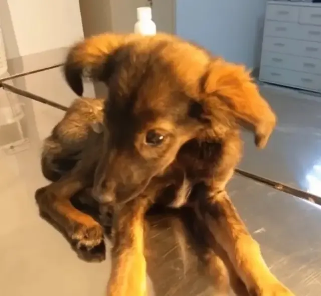 After spending five days at the clinic, ...