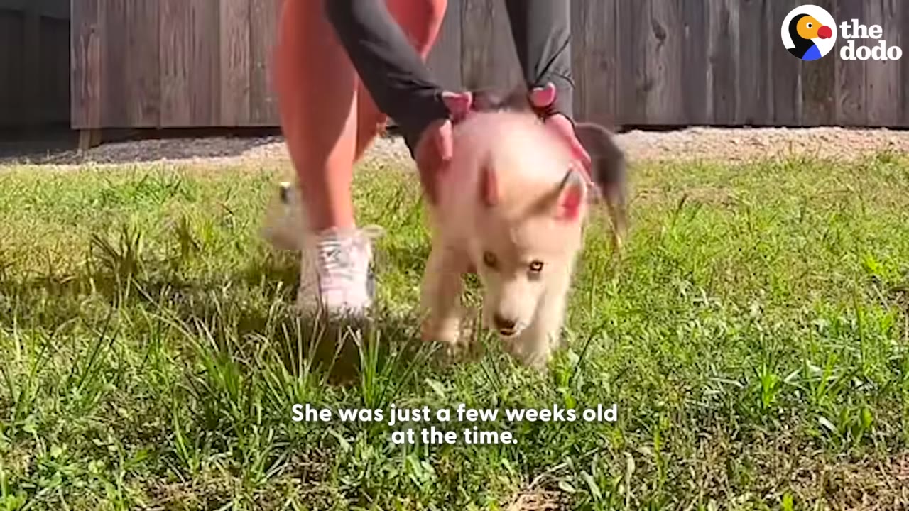 As Patti's mobility enhanced, so did her...