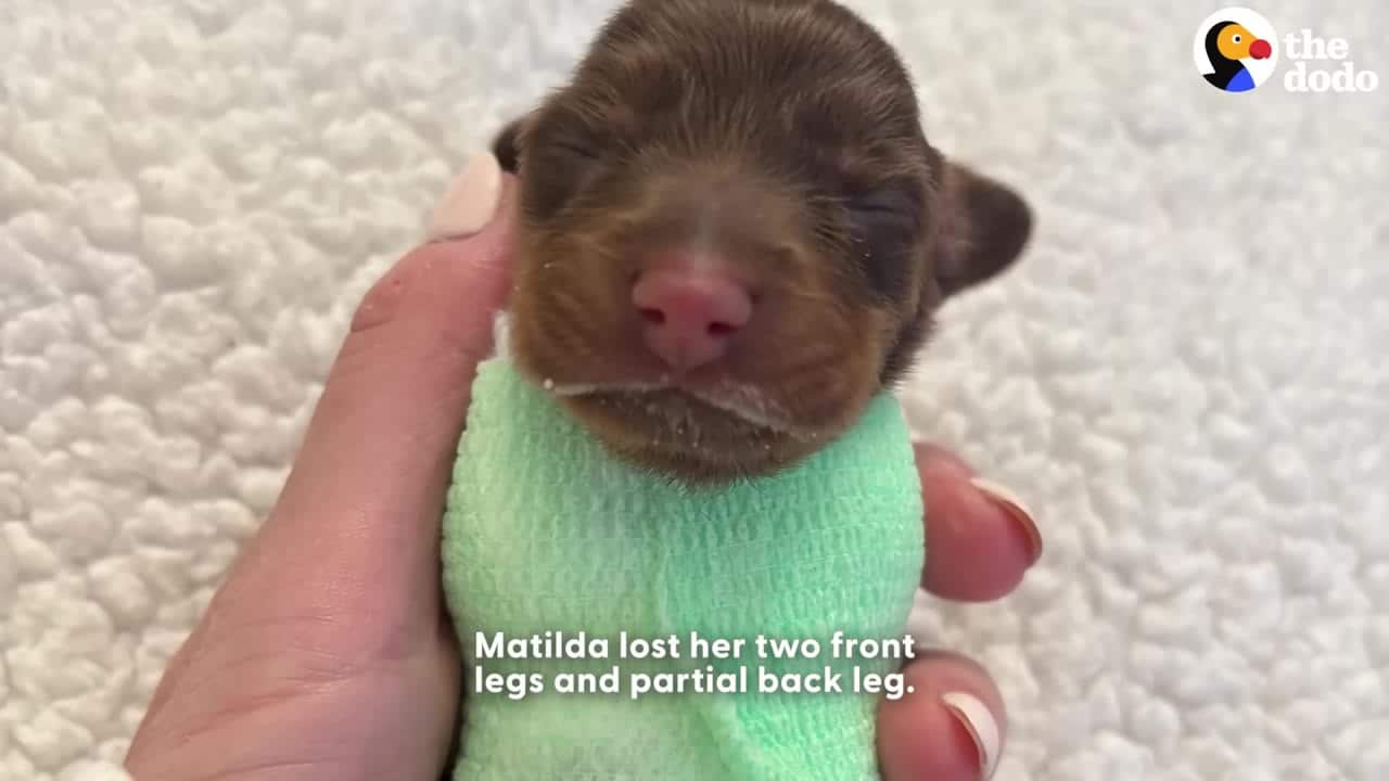 Instead, Matilda charted her own path. S...