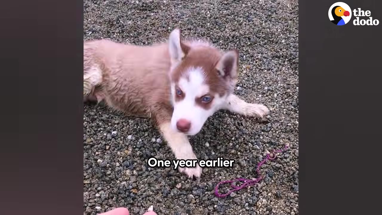 For his loved ones, witnessing Floppy ta...