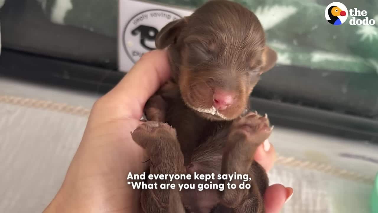 Extra image from article