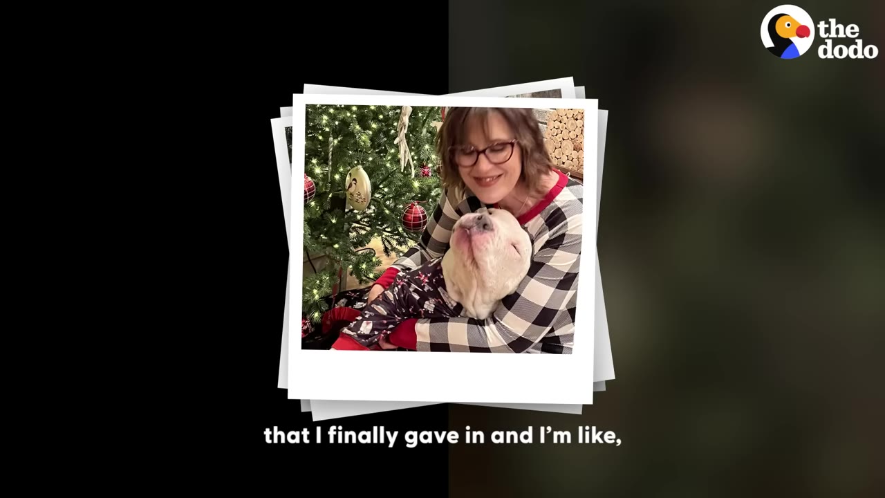 Extra image from article