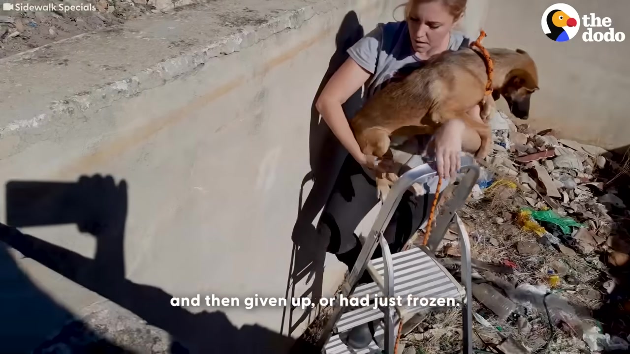 Upon arriving, rescuers identified the d...