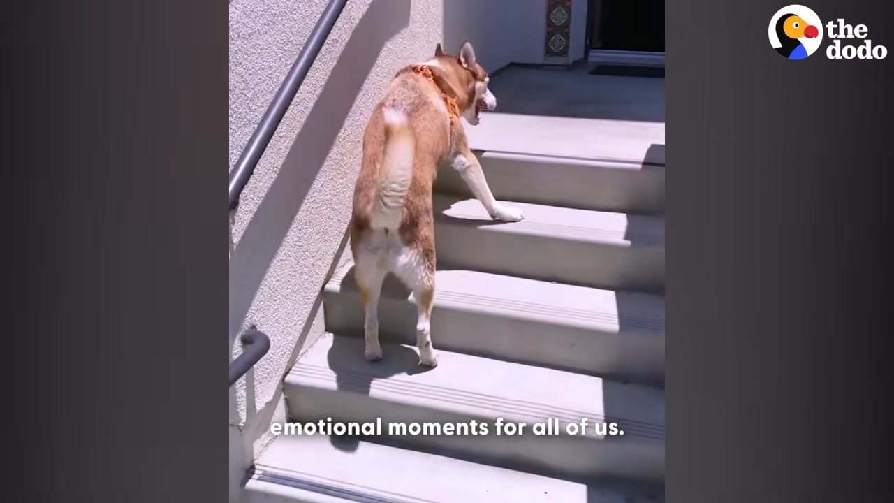 Floppy, born in California, faced severe...