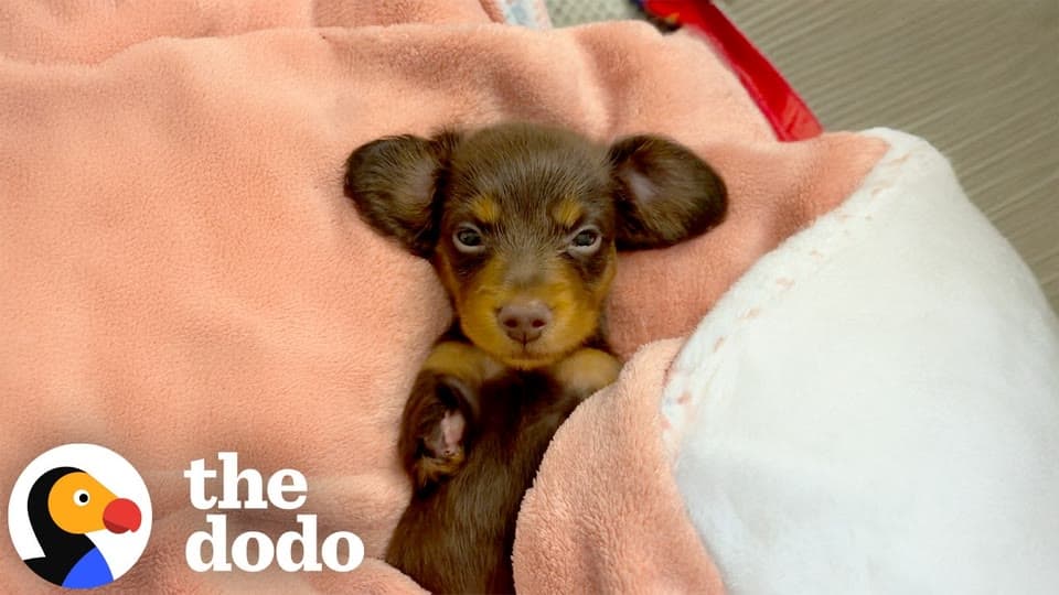 Matilda's story began on the night she w...