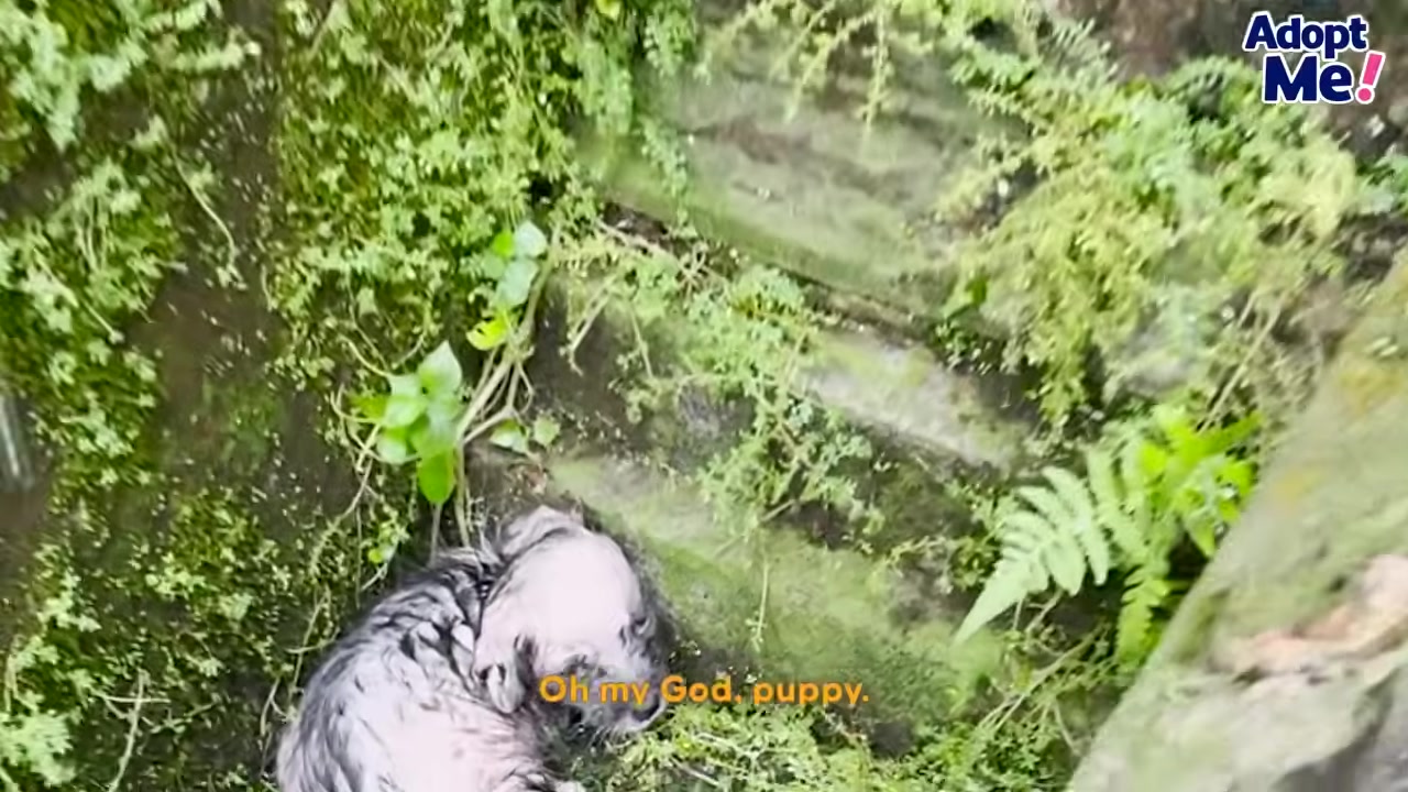 The rescuer, reflecting on the moment, s...