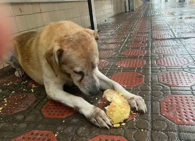 The story of Jhonny has resonated with m...
