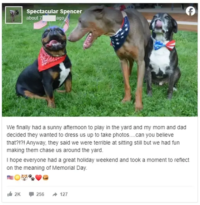 Extra image from article