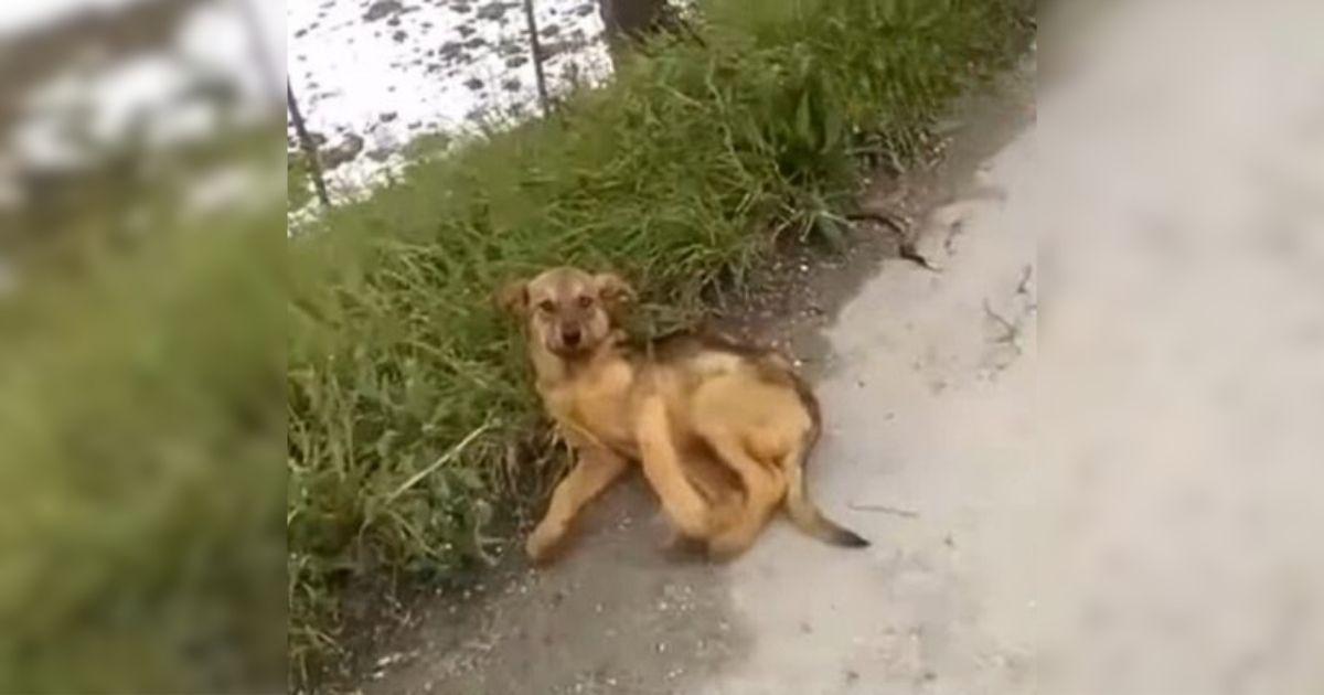 With every passing vehicle, he gazed up ...