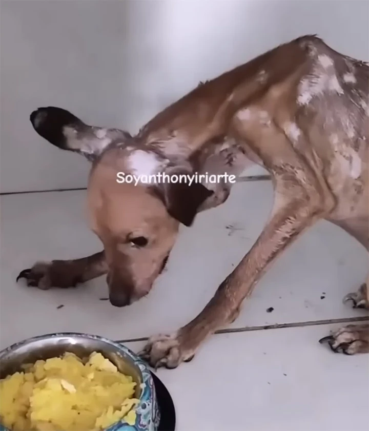 His anguish intensified....
