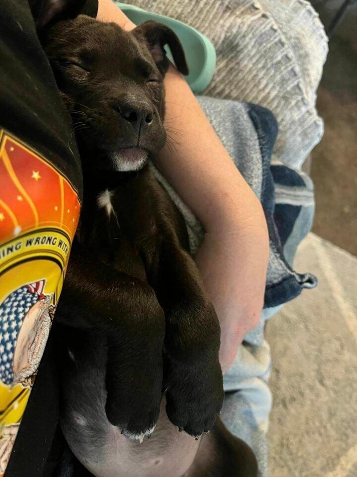 While she recovers, Ridley continues to ...