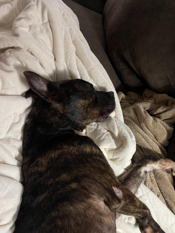 As his physical health improved, so did ...