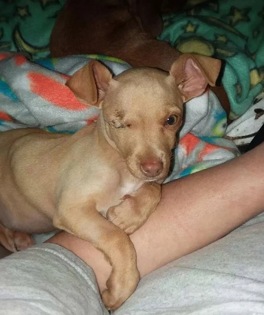 Thor is now on the road to recovery. He ...