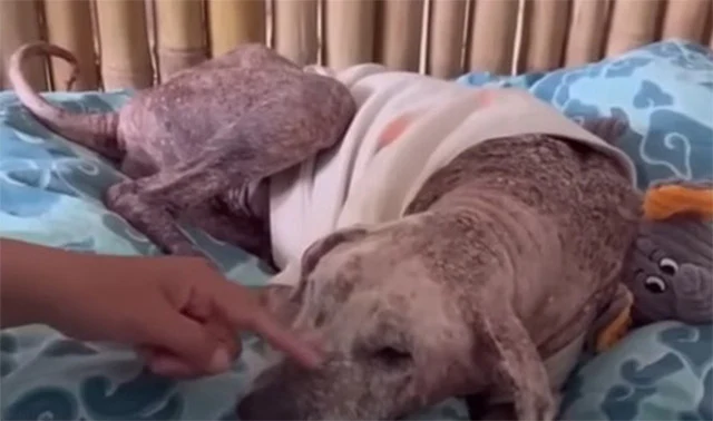 As Ossie and his new caregiver spent mor...