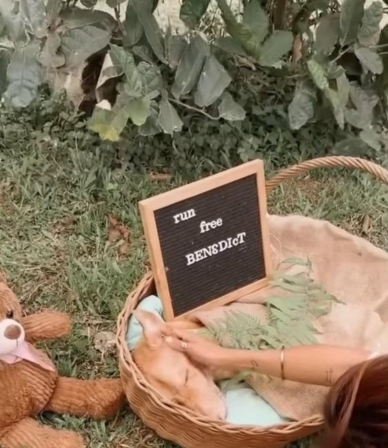 In a matter of days, Benny passed away, ...