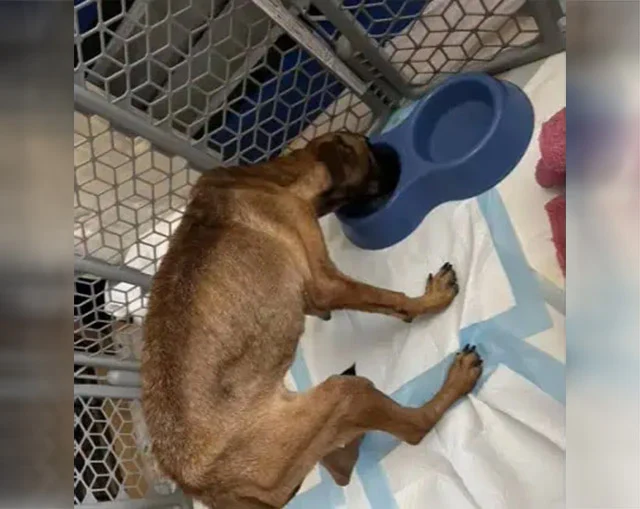 As her health improved, so did her perso...