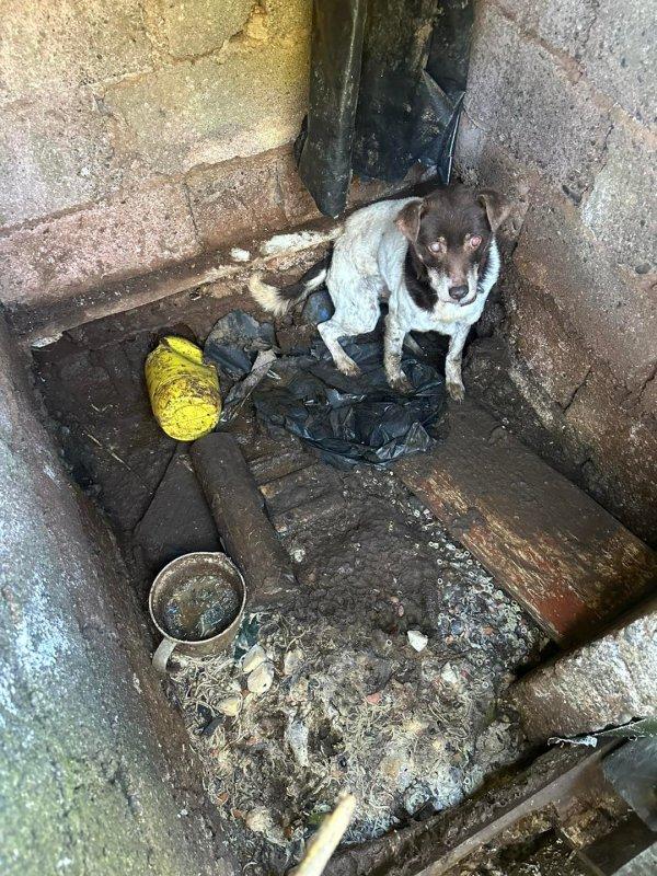 His first stop was a visit to the veteri...