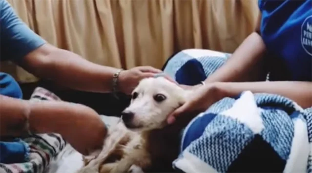 Yuki's journey highlights the profound i...
