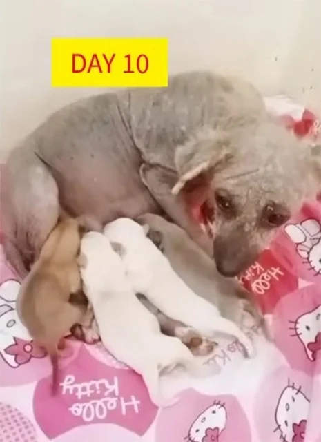 Carmi's story serves as a powerful remin...