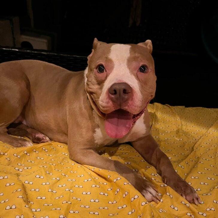 Despite her circumstances, Mia greeted Y...