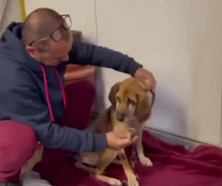 At the shelter, Elvis underwent a remark...