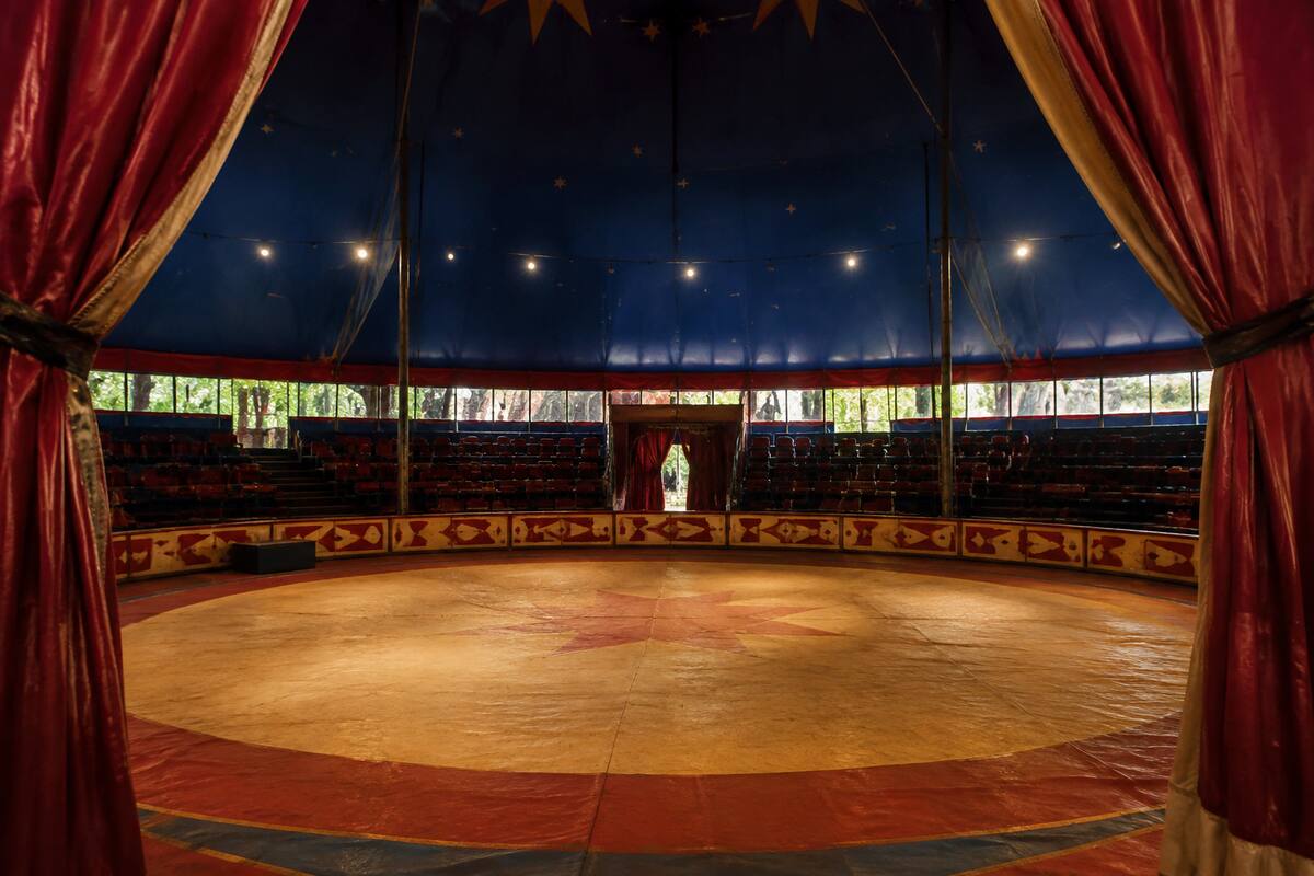 Empty circus ring after wild animal performances end