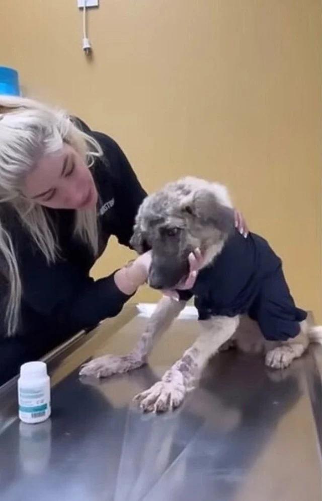 His caregivers treated him with affectio...
