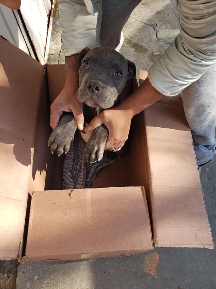 When the rescue team discovered Rene, th...