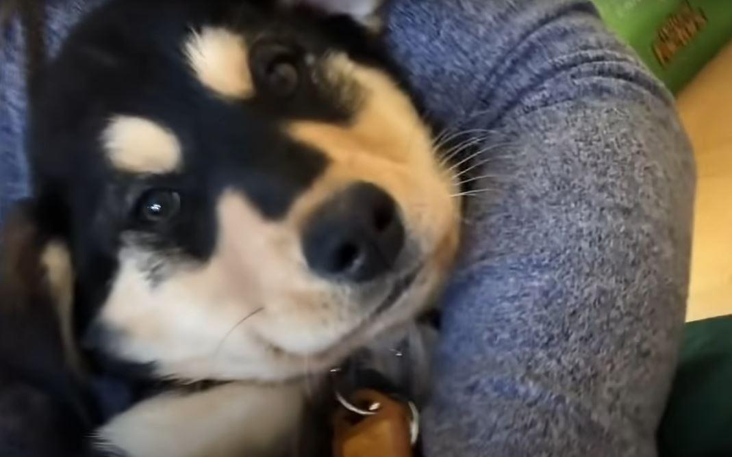 Parker soon met her new family and insta...