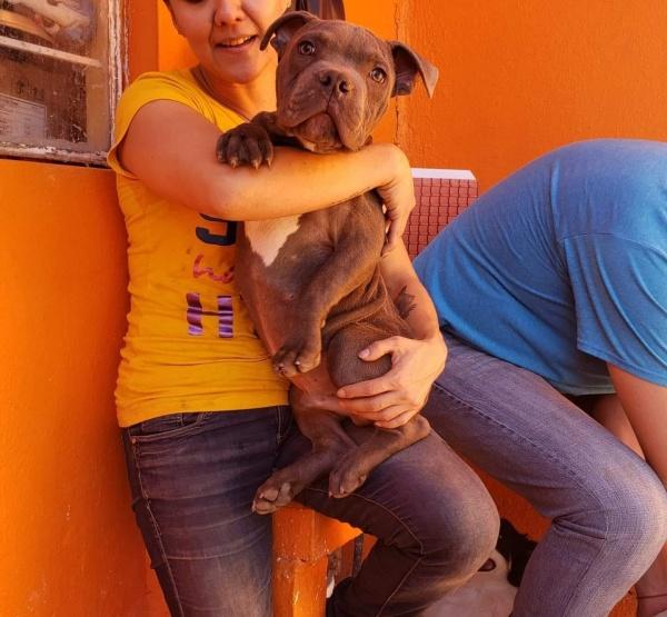 Andres’ courageous action has provided R...