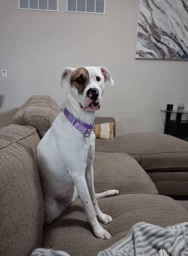 Imelda’s foster mom, Stephanie, embraced...