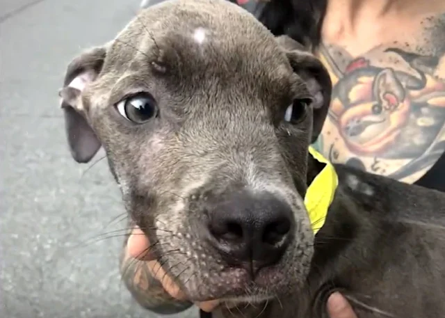 We wish Teague and his new family endles...