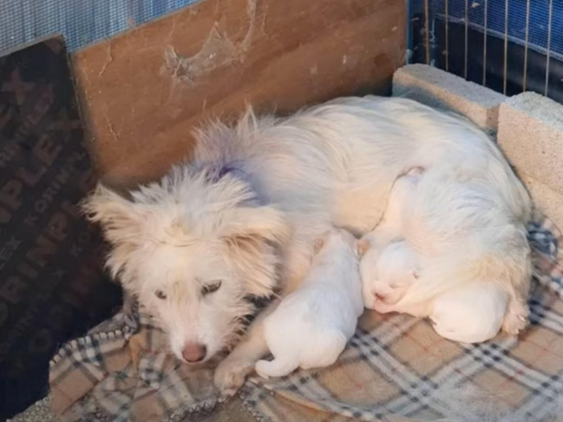 Before welcoming them into her home, the...